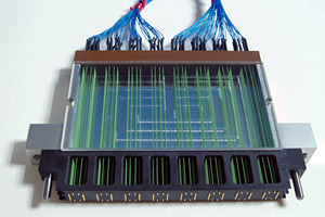 �d�q���i�����p�j�[�h���s������ �ʐ^